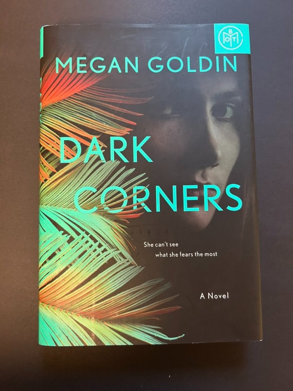 3 for $20 📚 | Dark Corners by Megan Goldin | Hardcover Book | BOTM